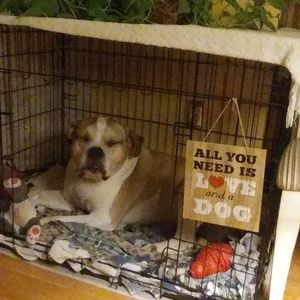 Meet your Posher, Maryann